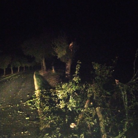 SDH Chříč odstranění stromu 2