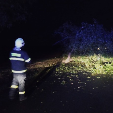 SDH Chříč odstranění stromu 3