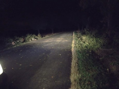 SDH Chříč odstranění stromu 4