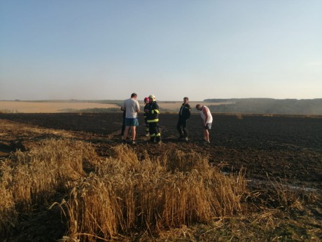 WhatsApp Image 2020-08-09 at 19.18.03