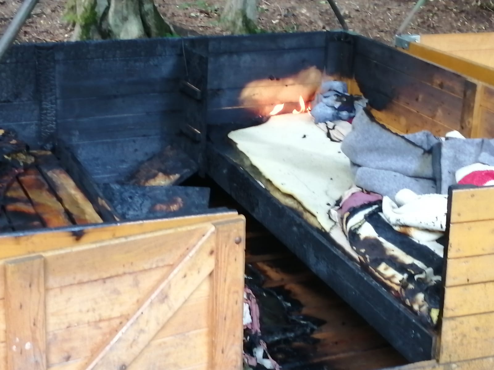 WhatsApp Image 2020-08-07 at 18.43.38 (1)