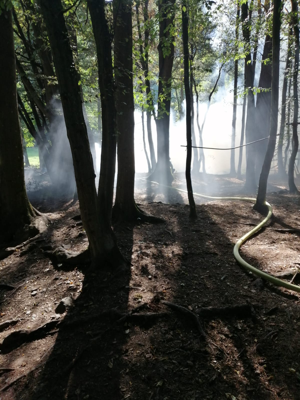 WhatsApp Image 2020-08-07 at 18.43.42