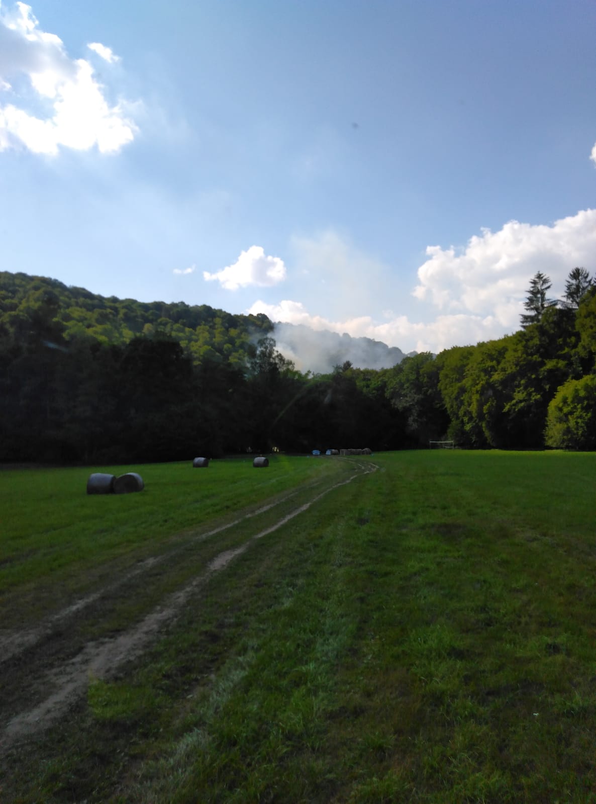 WhatsApp Image 2020-08-07 at 20.36.52 (1)